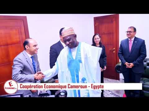 Coopération Economique Cameroun   Egypte