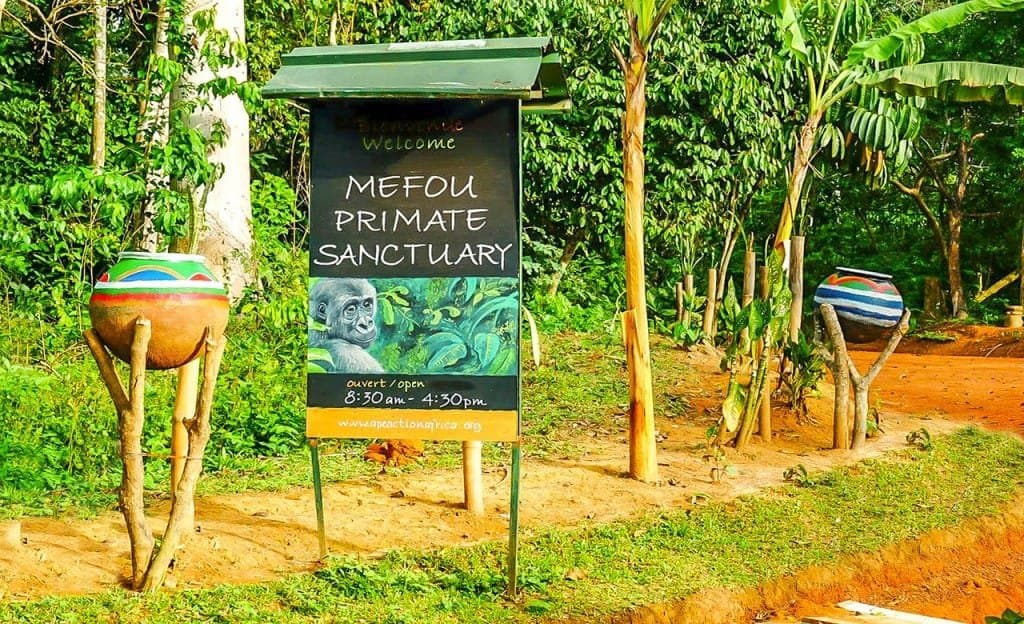 Cameroun : Le gouvernement engage le processus de privatisation de ses parcs nationaux