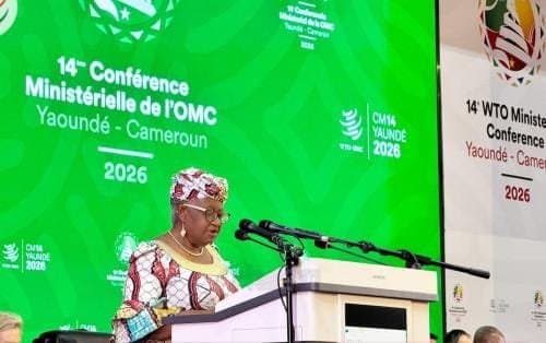 Commerce international : Les attentes de l’Afrique