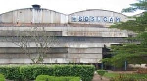 Sosucam : Jean-Louis Liscio remplace Jean-Pierre Champeaux à la Direction générale