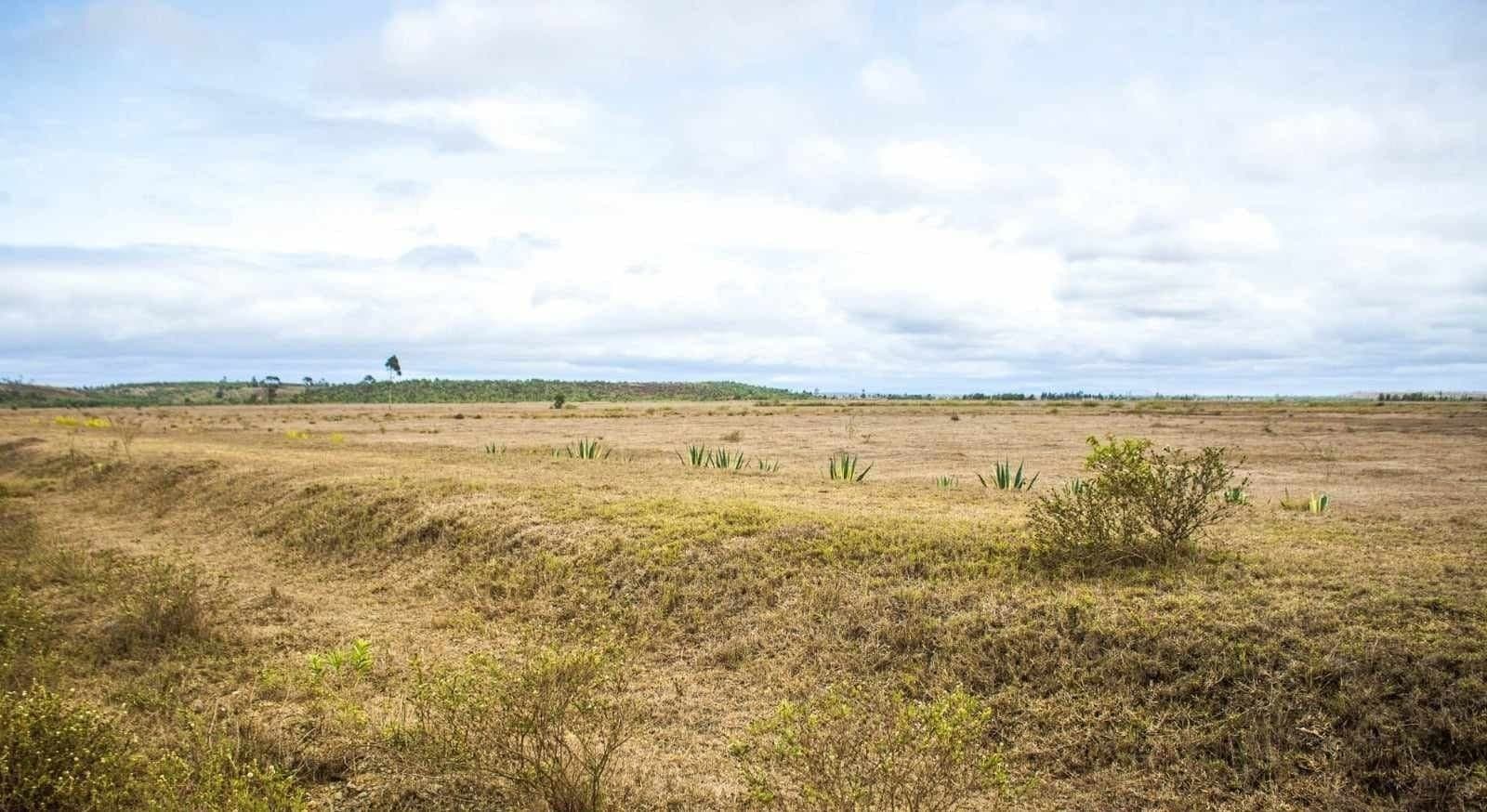 Zones économiques spéciales : Pourquoi ça tarde à démarrer 