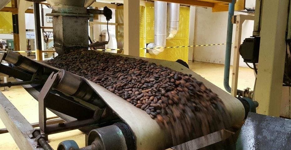 Transformation du cacao : Africa Processing Company lance officiellement ses activités
