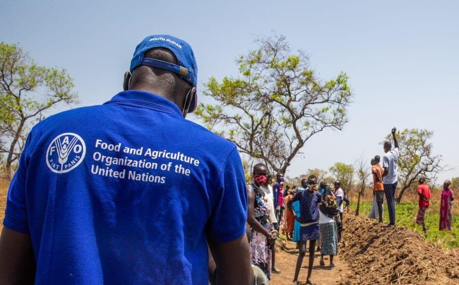 Changement climatique : La FAO évalue à plus de 41 430 milliards de FCFA par an, le préjudice subi par les cultures en Afrique