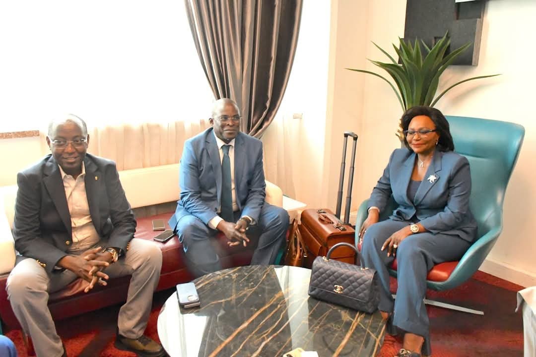 Camtel veut réaliser de nouveaux tronçons de fibre optique à destination du Tchad