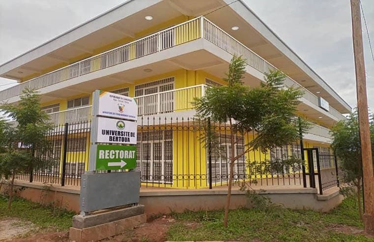 Enseignement supérieur : L’Université de Bertoua structure son offre de formation