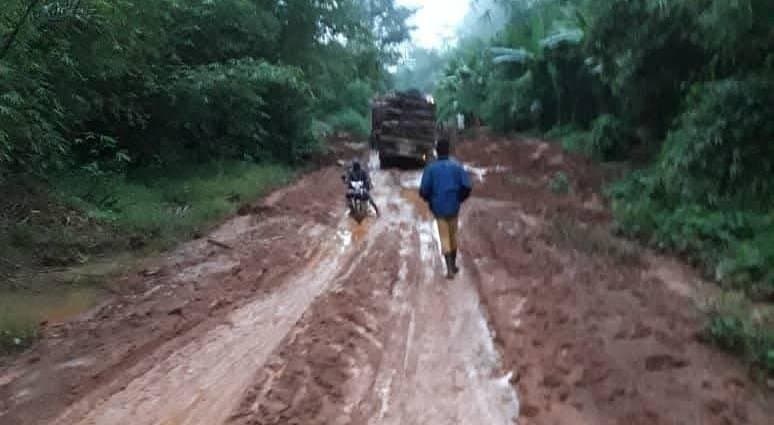 Connectivité portuaire : Le Port de Kribi attend la fin de l’enclavement du tronçon Bigambo