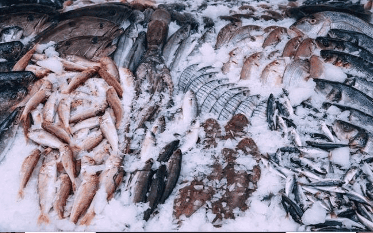 Les importations de poissons congelés atteignent 113 158 tonnes au deuxième trimestre 2025