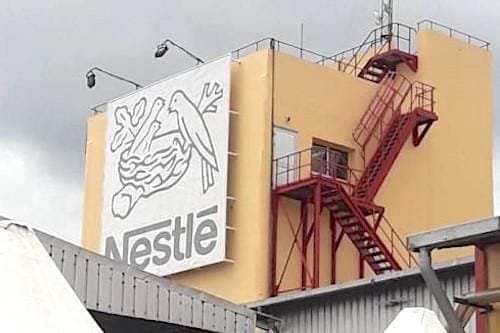 Entrepreneuriat jeunes : Nestlé Cameroun prévoit d’investir 70 millions de FCFA en 2026