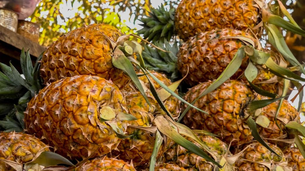 Cameroun : Les exportations d’ananas baissent de 84,3 % entre 2019 et 2025