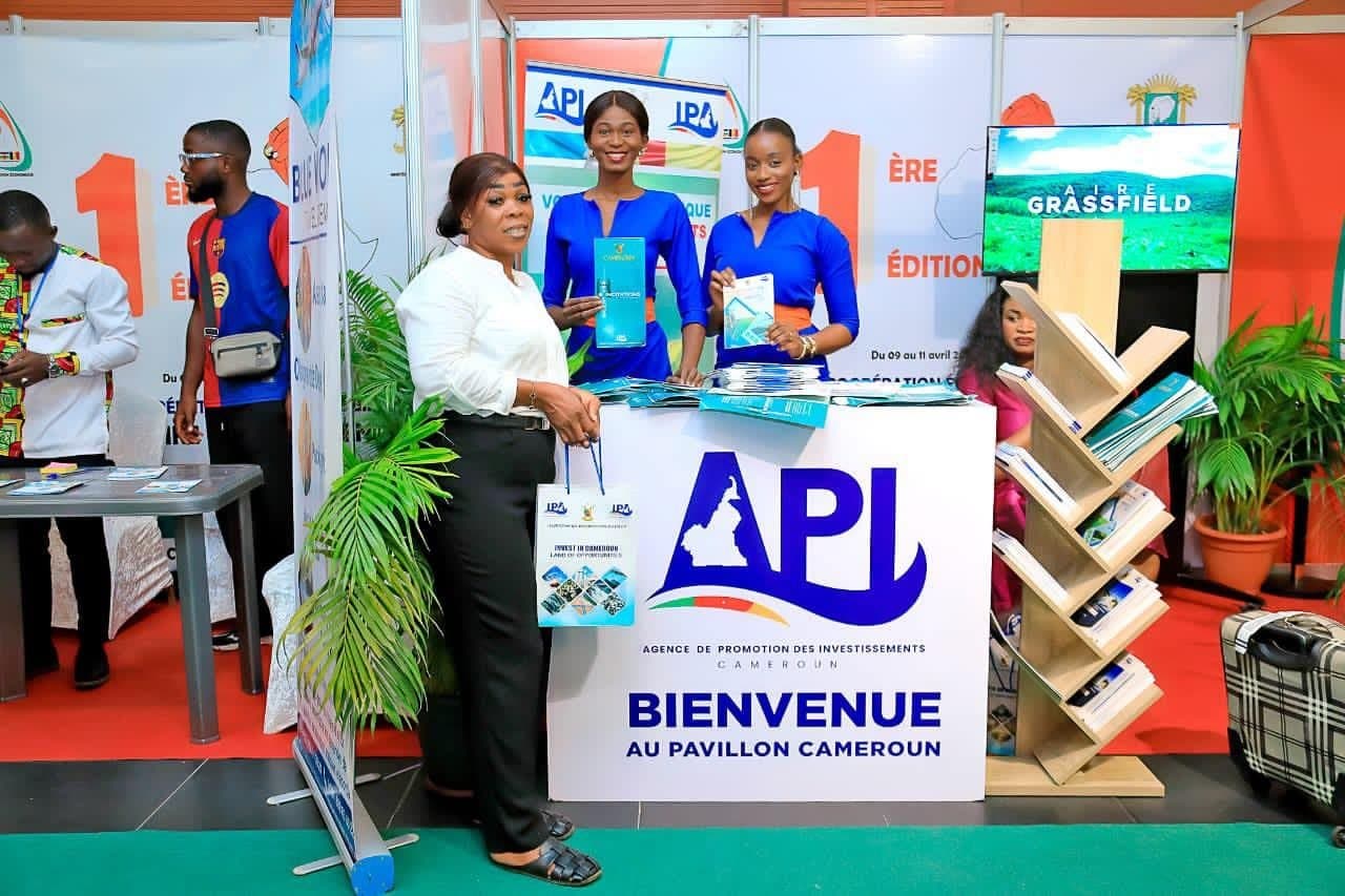 Cameroun : L’Agence de promotion des investissements apporte des précisions sur son bilan 2014-2024