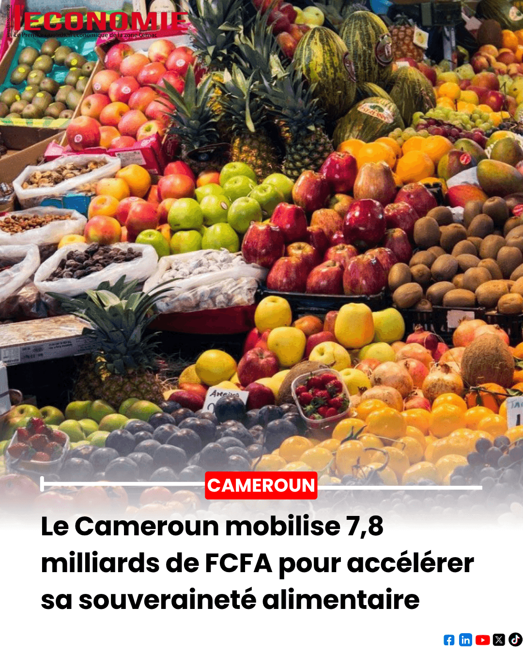 Projet SECAL : Plus de 13,77 milliards de FCFA pour booster la sécurité alimentaire en 2026