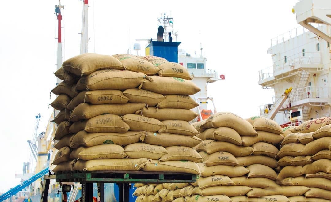 Cameroun : La redevance à l’exportation du cacao passe de 75 FCFA à 225 FCFA