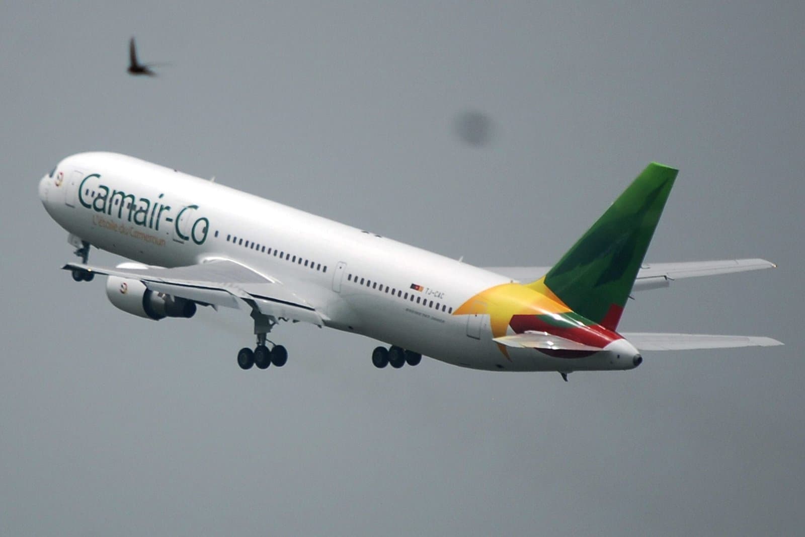 Camair-Co : Six ans après l’instruction présidentielle, l’ouverture du capital à un partenaire privé reste sans suite