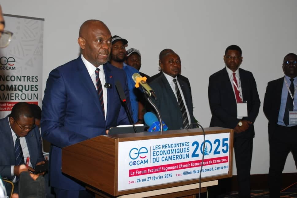 Cameroun : Les propositions de Tony Elumelu pour relancer l’économie