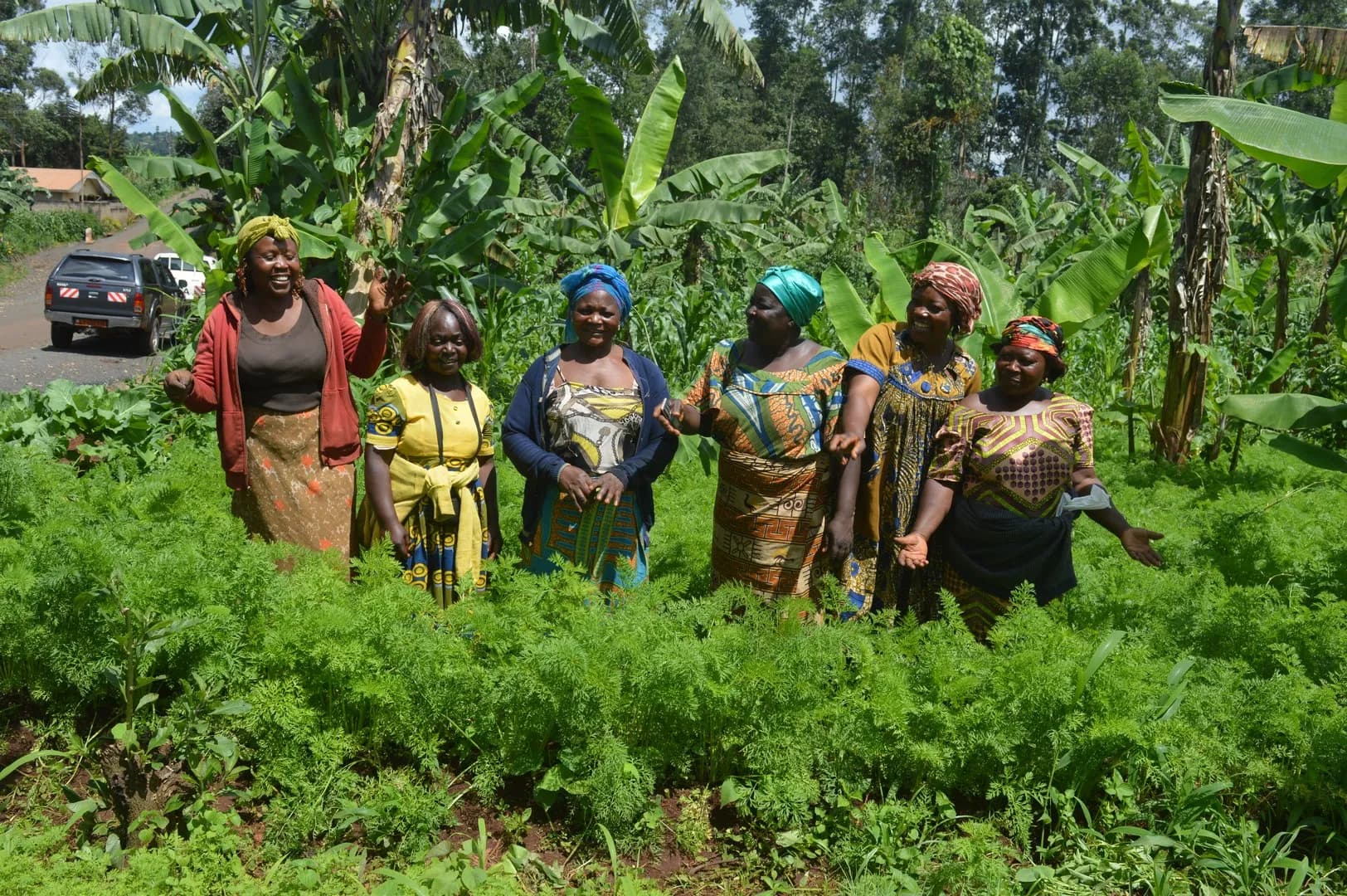 Cameroun : La Chambre des Comptes envisage l’ouverture des poursuites contre les responsables du Projet de Développement des Chaînes de Valeurs agricoles porté par le MINADER