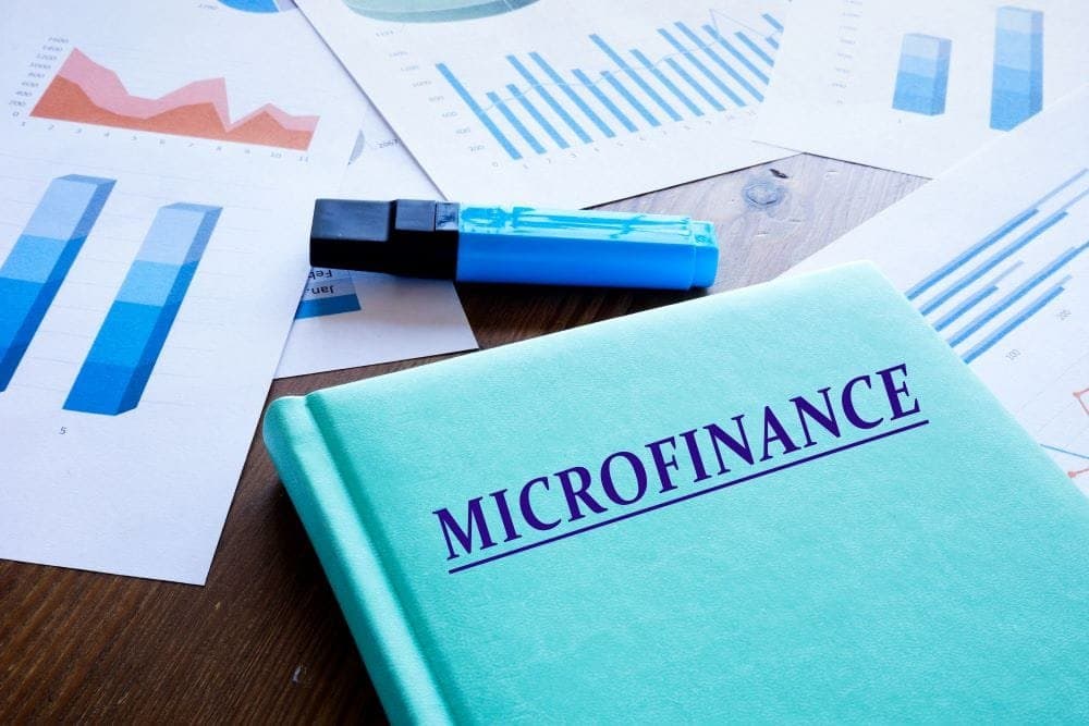 Microfinances : 389 établissements autorisés à exercer au Cameroun