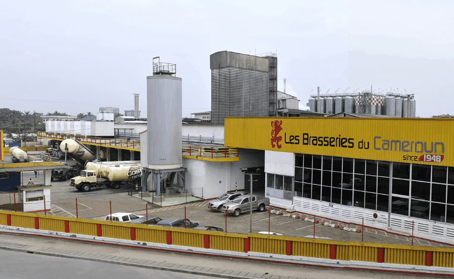 Import-substitution : Boissons du Cameroun accélère sa quête de sorgho local pour 2025