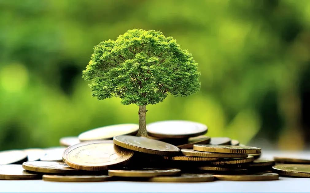 Financements climatiques : L’Afrique centrale mise sur la solidarité régionale