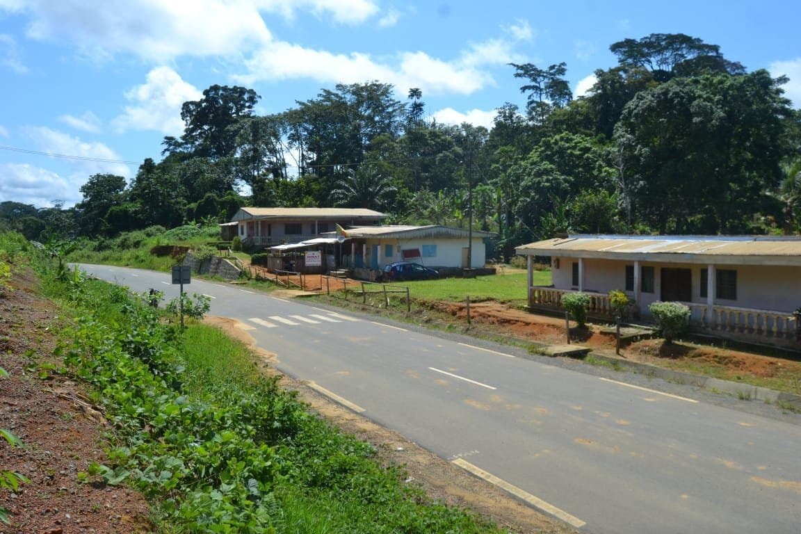 Recensement 2026 : Le Cameroun déploie des outils numériques et satellitaires pour la collecte des données