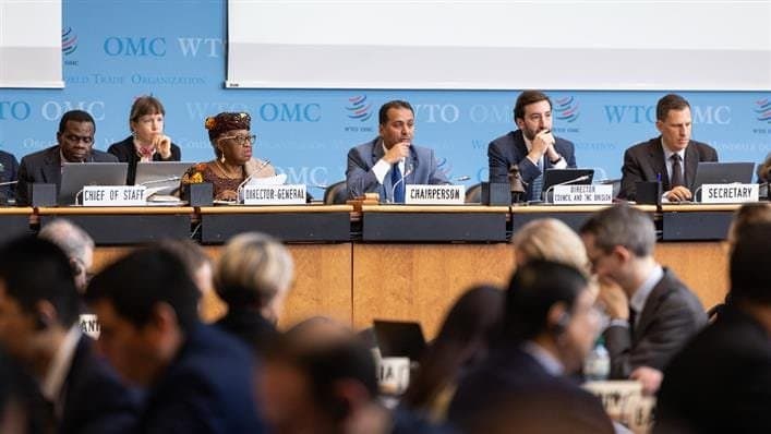 Yaoundé confirme l’opérationnalité des sites devant abriter les travaux de l’OMC