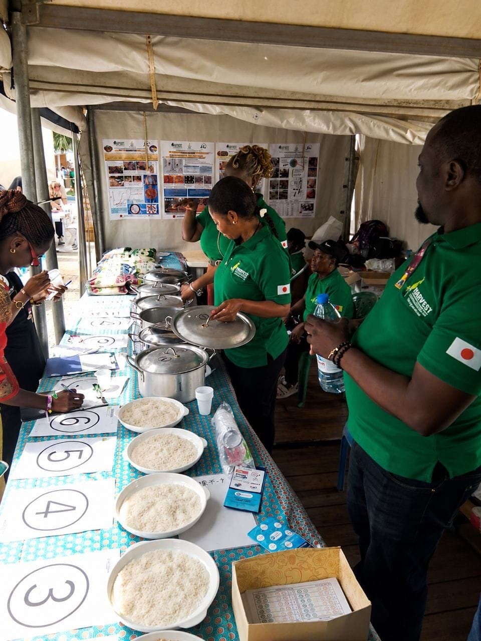 Promote 2026 : Le riz camerounais en vedette