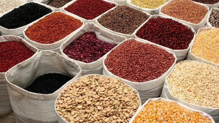 Cameroun : Un lot de 83 tonnes de semences distribué dans les régions septentrionales