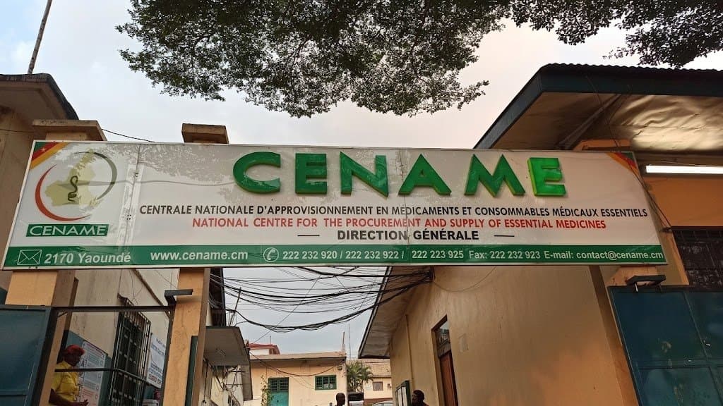Infrastructures sanitaires : La BAD prépare la modernisation des dépôts de la Cename