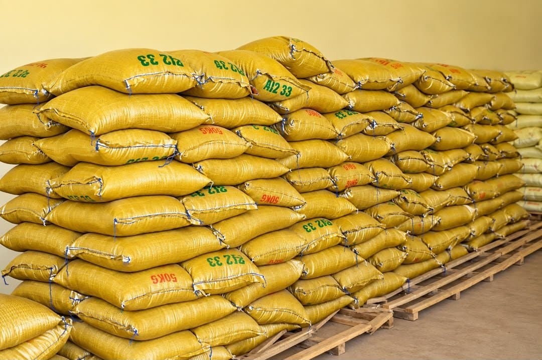 Extrême-Nord : L’exportation du riz Paddy dans les pays voisins interdite