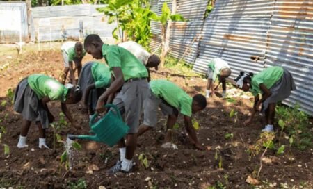 Agriculture en milieu scolaire