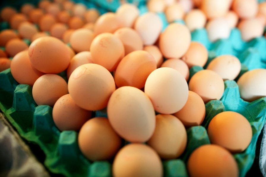 Secteur avicole : La production d’œufs chute de plus d’un milliard d’unités en 8 ans
