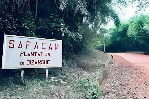 Performance : Safacam augmente son chiffre d’affaires en 2025