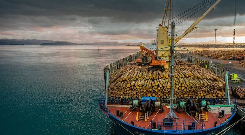 Le bois et ses dérivés captent 50,1 % du marché des exportations traitées aux ports de Douala et Kribi en 2025