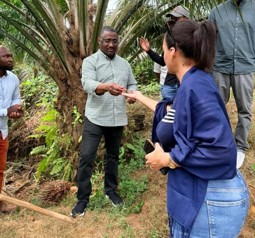 BGFIBank Cameroun visite les 5 000 hectares de palmeraie de CAMVERT