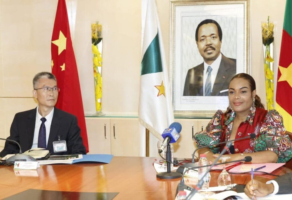 Industrie pétrolière : La SNH et la Chine tablent sur les perspectives de développement