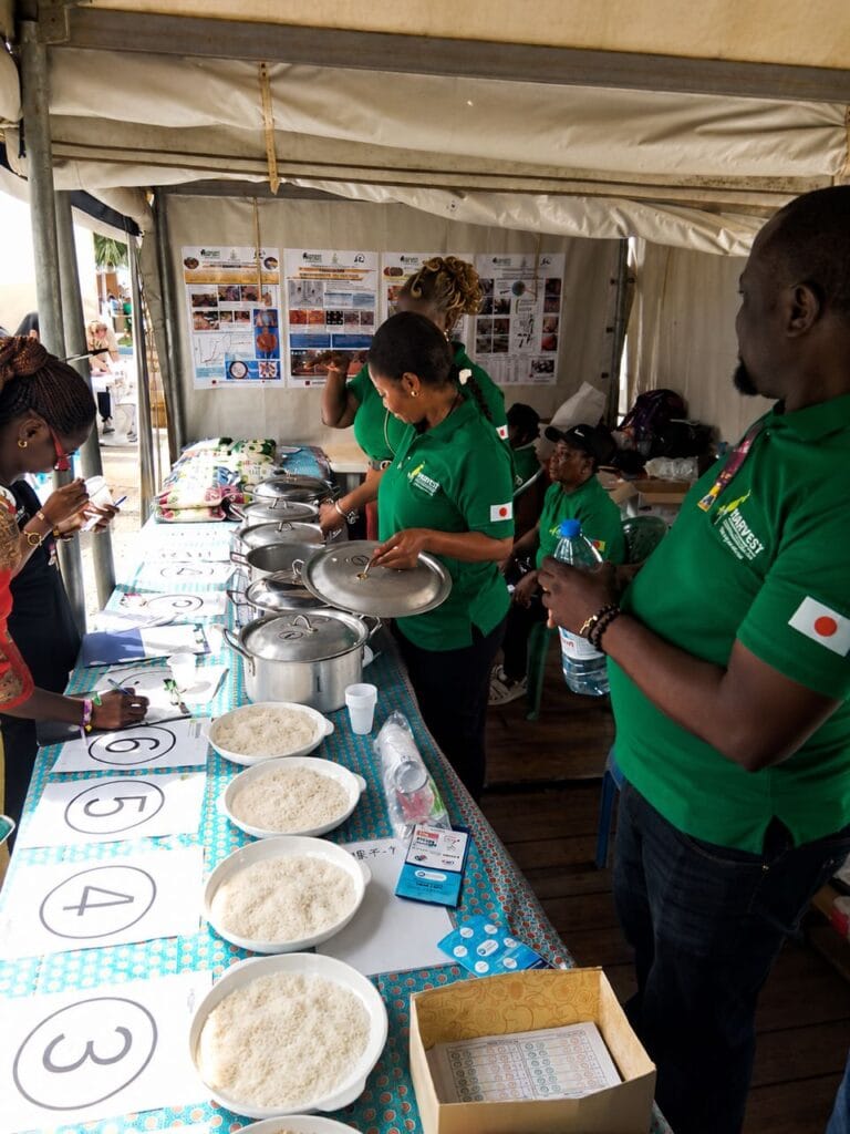 Promote 2026 : Le riz camerounais en vedette